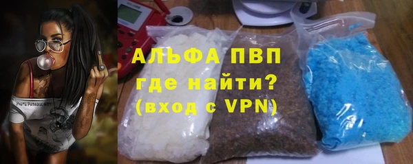 PSILOCYBIN Иннополис