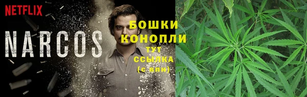 PSILOCYBIN Иннополис