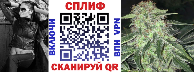 Шишки марихуана White Widow  Купить закладки  Вятские Поляны 